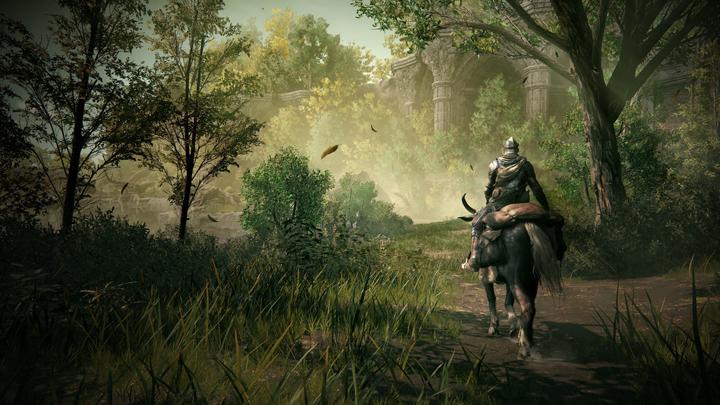 Produktbild Bandai Namco Elden Ring: Shadow of the Erdtree - Collector's Edition (Xbox Series X)