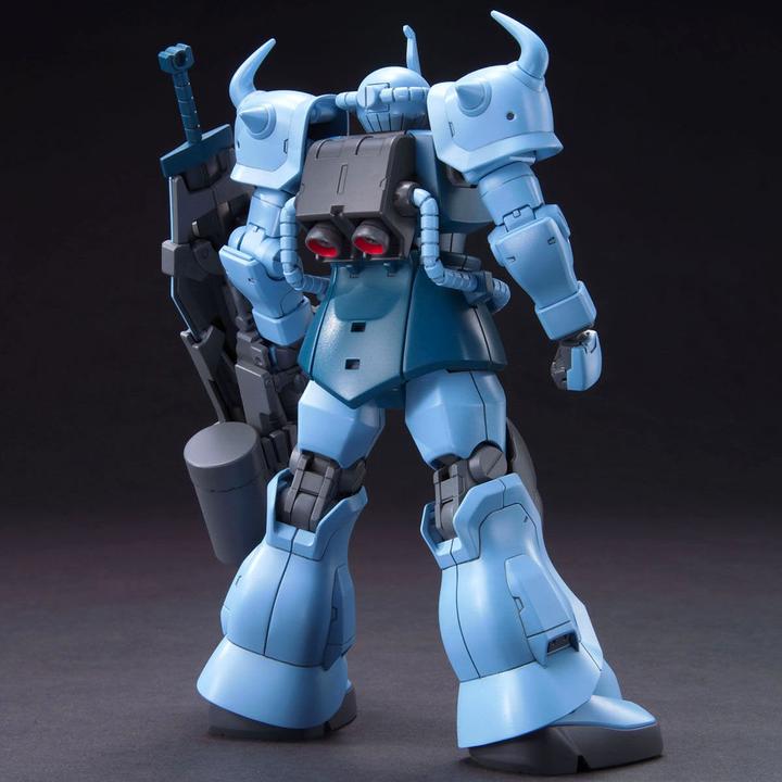 Actual product image Bandai Gundam Gouf Custom
