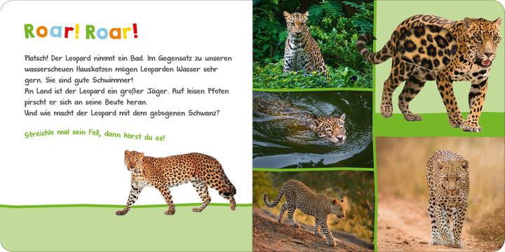 Immagine prodotto Hör mal rein, wer kann das sein? Im Dschungel (Tedesco, 2018)
