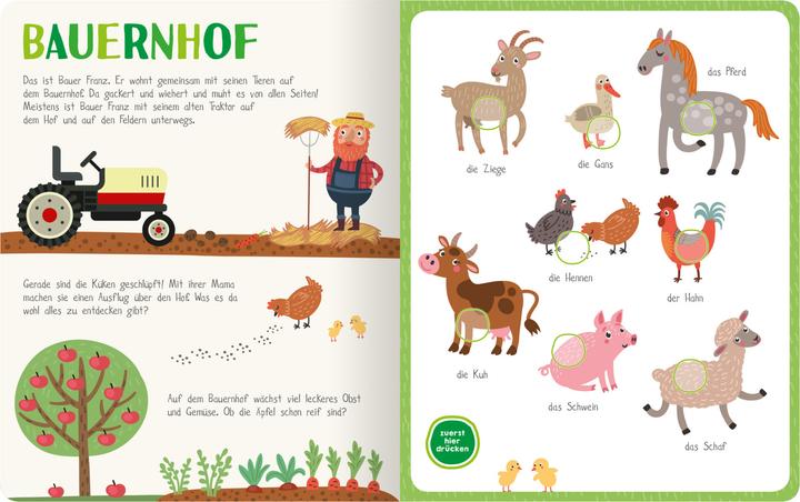 Produktbild Mein kunterbuntes Soundbuch - Tiere (Deutsch, 2019)