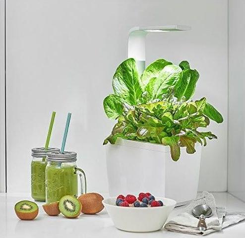 Image du produit Tregren Pot à herbes T3 (19.50 cm)