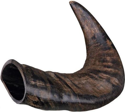 Actual product image Trixie Natural chewing horn from buffalo (Adult, 1 pcs., 0.58 g)