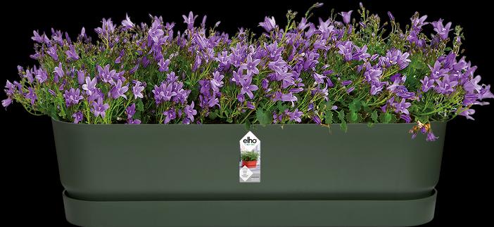 Produktbild Elho Blumenkasten (19.10 cm)