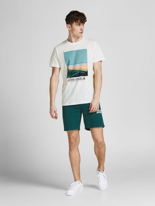Actual product image Jack & Jones Magazines (L)