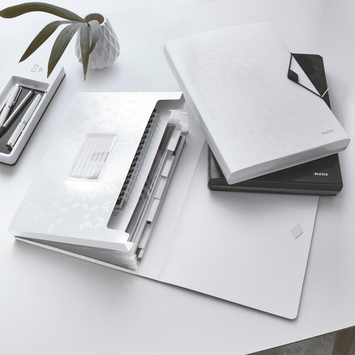 Actual product image Leitz Wow (A4, 1 x)
