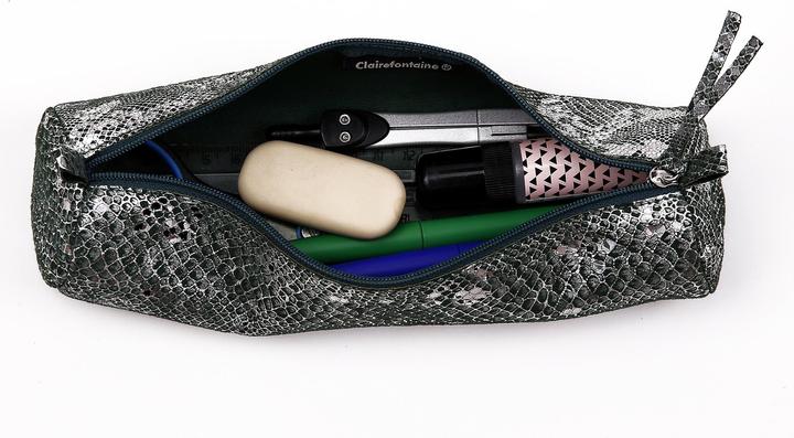 Actual product image Clairefontaine Leather cases