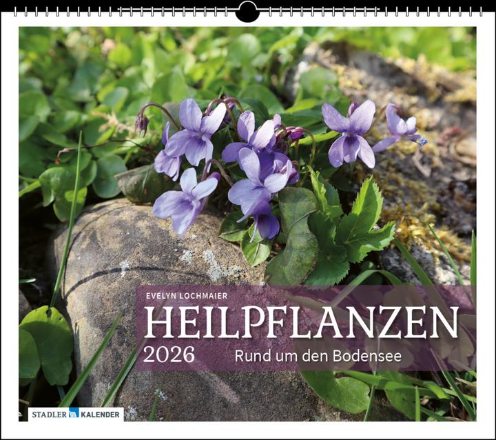 Actual product image Heilpflanzen rund um den Bodensee 2026 (German)