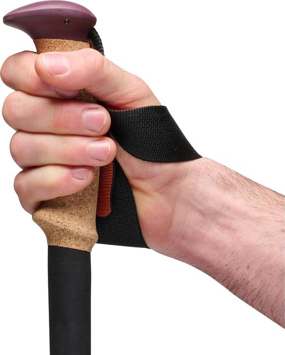 Produktbild Black Diamond Trekkingst?cke Trail Cork (anthrazit/orange, 1 Paar, 100-140 cm) (100 - 140 cm)