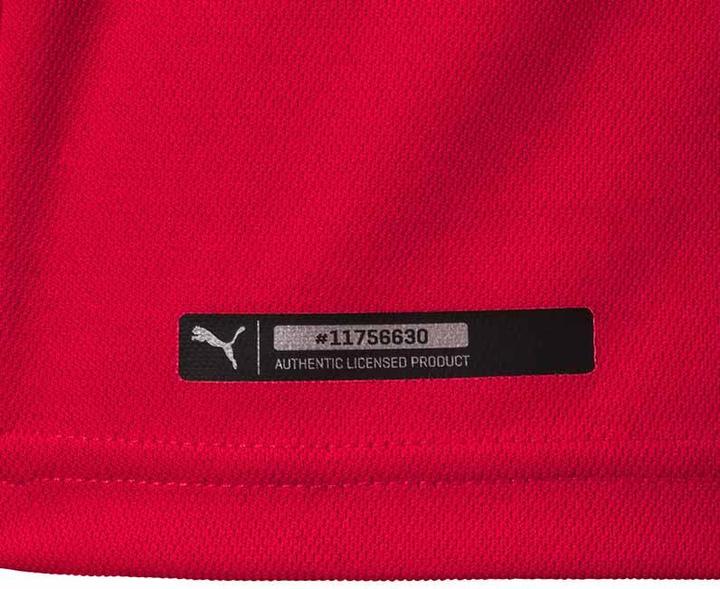 Produktbild Puma Home Jersey Serbien Wm 18 Kinder (176)