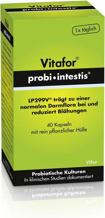 Produktbild Vitafor Probi-intestis (40 Stück, Kapseln, 54 g)