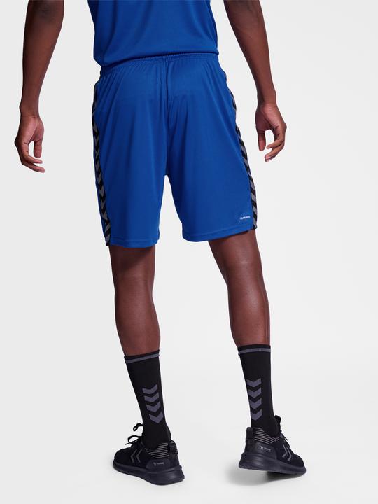 Image du produit hummel Hmlauthentic Pl Shorts (XL)