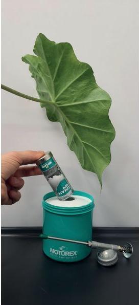 Image du produit Motorex Graisse blanche 100 g (Graisse pour roulements)