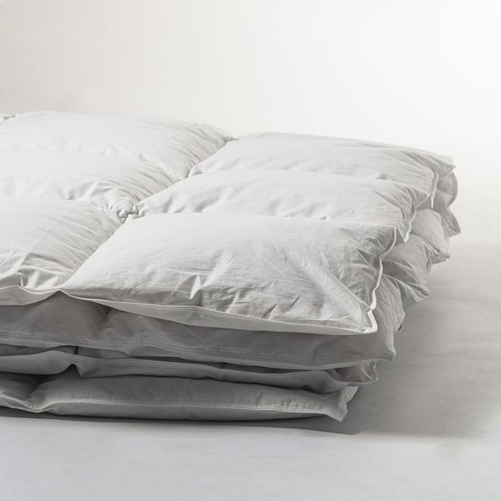 Immagine prodotto Duvetsuisse Oca media Standard (590 g, 155 x 220 cm)