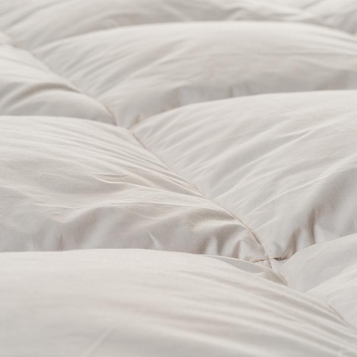 Immagine prodotto Duvetsuisse Oca media Standard (770 g, 200 x 220 cm)