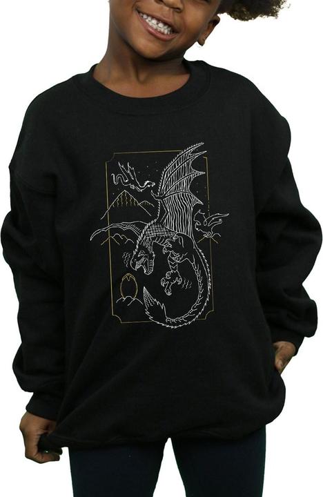 Actual product image Girls Dragon Line Art Sweatshirt (140, 146)