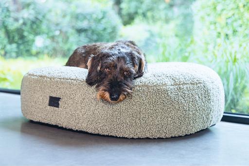 Image du produit Designed by Lotte Ribbed (Chien)
