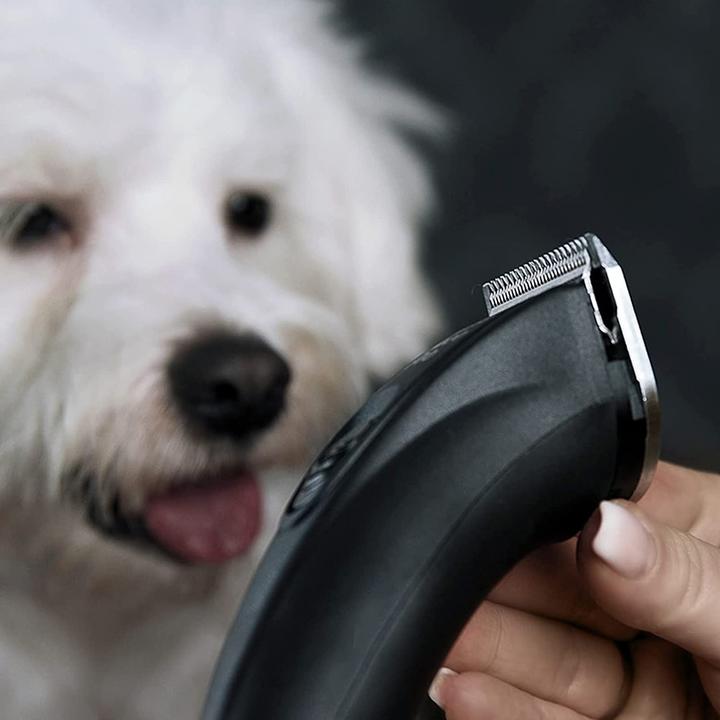 Immagine prodotto Agrarzone Tagliacapelli per cani (Cane)