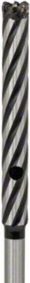 Image du produit Bosch Professional Zubehör Forets PRO SDS plus Rebar Cutter, 16 x 120 x 300 mm (16 mm)