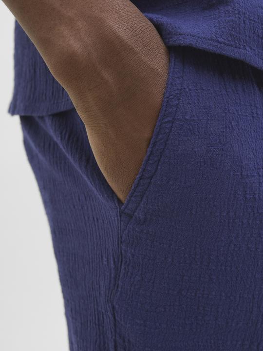 Actual product image Jack & Jones Jogger Fit Shorts Shorts (XS)