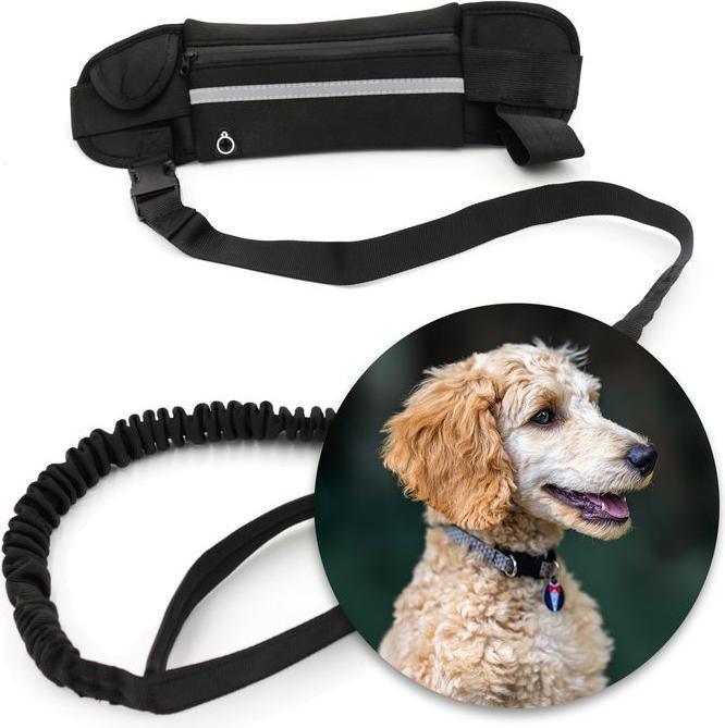 Image du produit Hermex Laisse Jogging Ceinture abdominale Ceinture pour chien Flexible Élastique Bungee (128, Chien, Jogging)