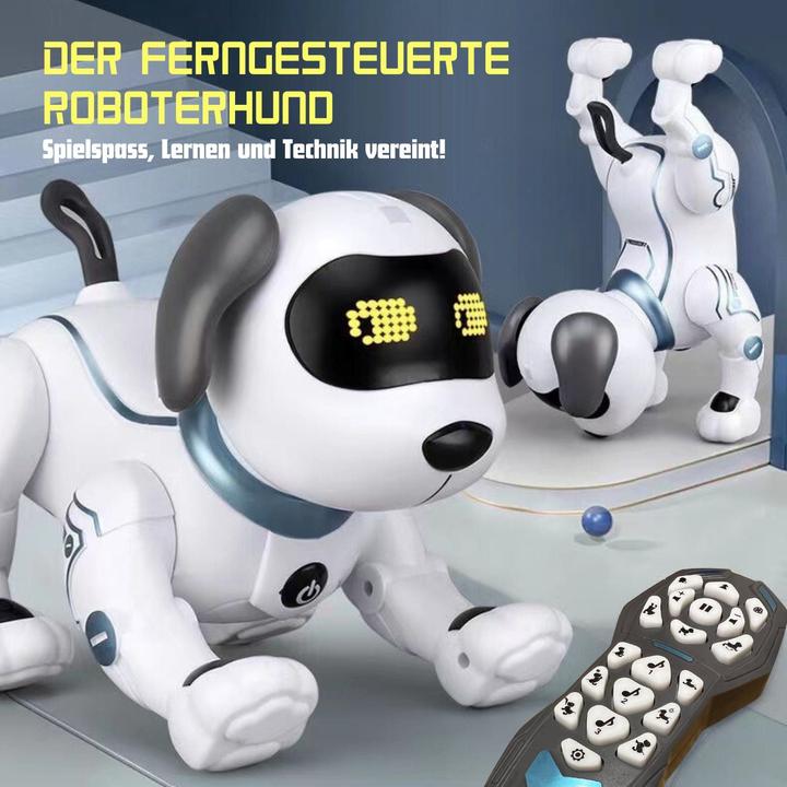 Produktbild Hermex Roboterhund