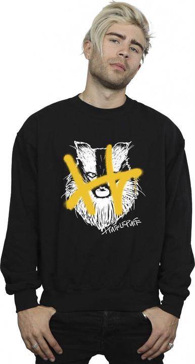 Produktbild Hufflepuff Pop Spray Sweatshirt (L)