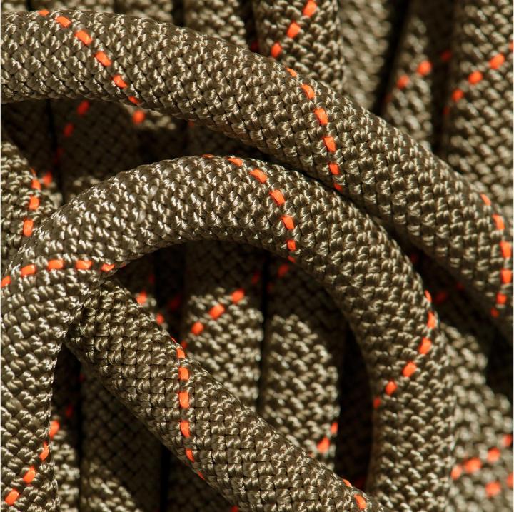 Actual product image Mammut 9.9 Gym Workhorse Classic (50 m)