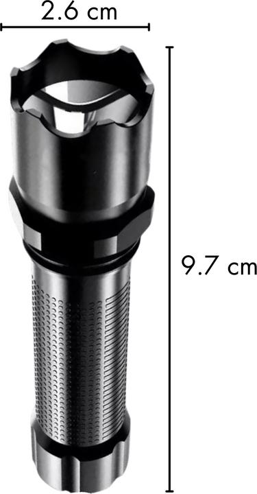 Produktbild Suba UV Taschenlampe (Hund)
