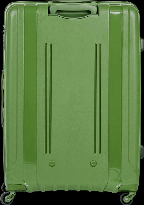 Actual product image Swissbags Tourist (110 l, L (90 - 115l))