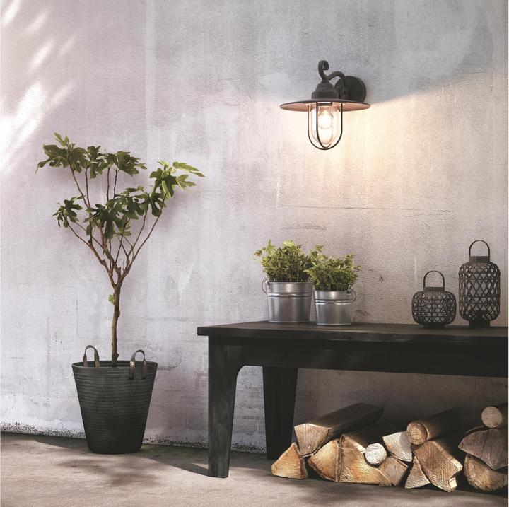 Actual product image Philips Pasture (E27)