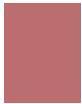 Actual product image Sisley Le Phyto Blush No 05 (5 Rosewood)