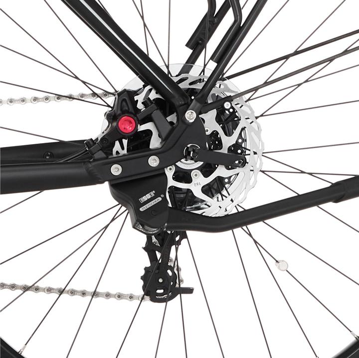 Produktbild Fischer E-Trekkingbike Terra 5.0i (49 cm)