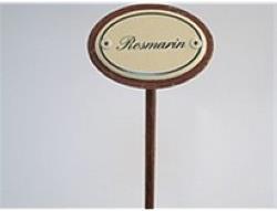 Fiches d'épices romarin (25 cm)