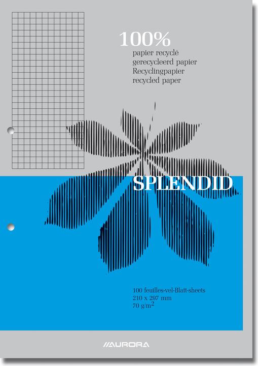 Image du produit Aurora Bloc-notes Splendid Encollé DIN A4 Quadrillé Papier Couleur assortie D102RQ5 (A4, Quadrillé)