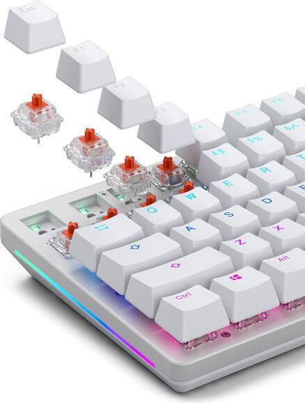 Produktbild Glorious Mechanical Switches (110pcs) - Fox - Heavy (Linear) 55g