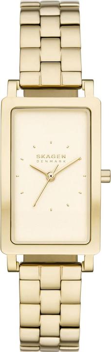 Skagen Hagen (Analogue wristwatch, 22 mm)