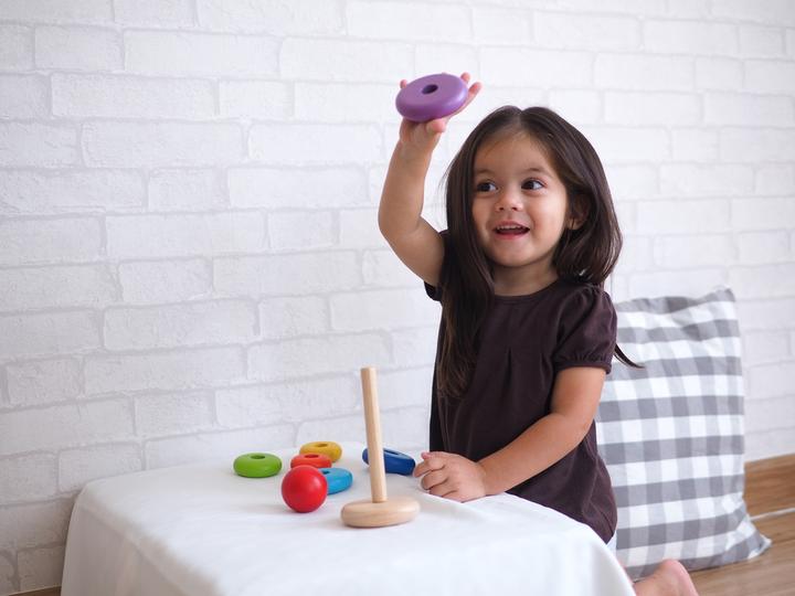 Actual product image Plantoys Sorting tower