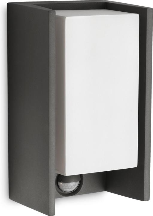 Philips Bridge (2580 lm, E27, IP44)