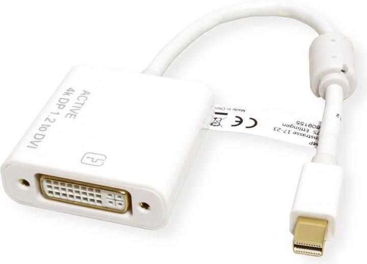 Image du produit Roline Mini DisplayPort vers DVI (VGA, 10 cm)