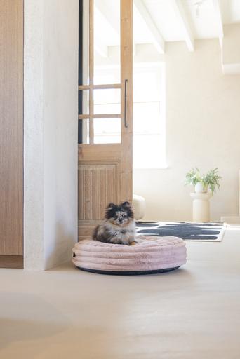 Produktbild Designed by Lotte Liegekissen Reza (Hund)