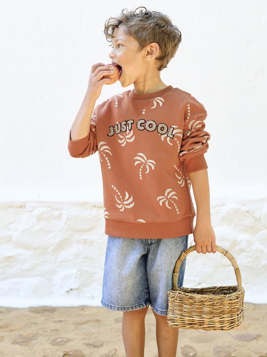 Produktbild Vertbaudet Jungen Sweatshirt mit Frottee-Motiv und Recycling-Polyester (92)