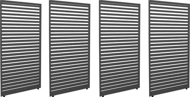 MCW L46-4P (4 cm, 369 cm)
