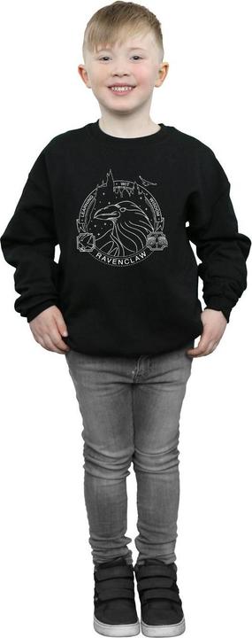 Produktbild Ravenclaw Seal Sweatshirt Jungen (152, 158)