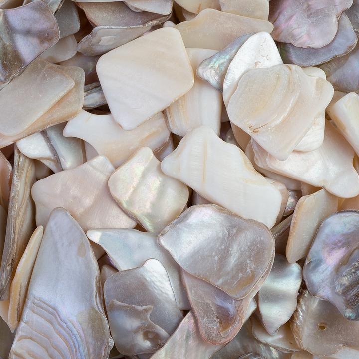 Image du produit Eurosand Plaques de coquillage, 10 - 20 mm, 330 ml, naturel