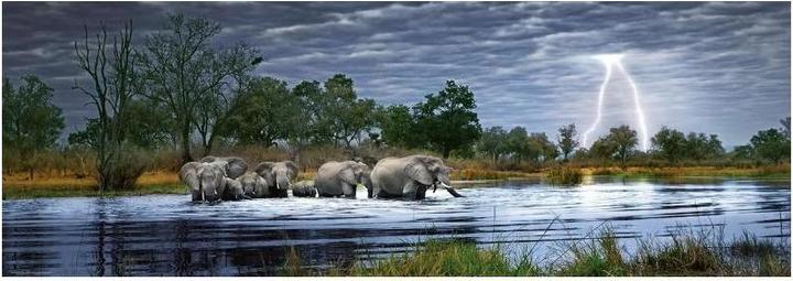 Actual product image Heye Herd of Elephants (2000 pieces)