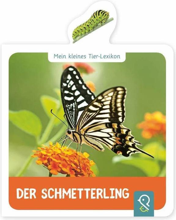 Image du produit Mein kleines Tier-Lexikon - Der Schmetterling (Allemand, Hannah Kastenhuber, 2020)