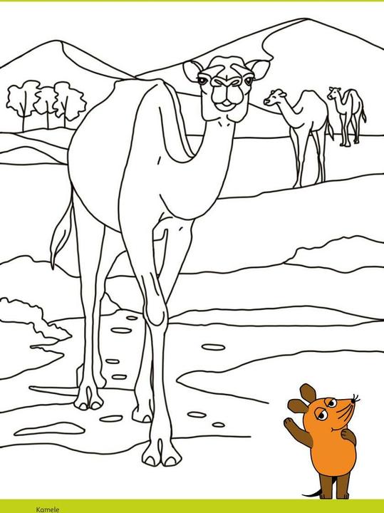 Produktbild Die Maus - Malblock mit Sachwissen Natur und Tiere (Deutsch, pen2nature, 2024)