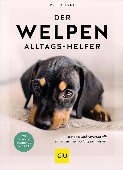 Der Welpen-Alltags-Helfer (Allemand, Petra Frey, 2023)