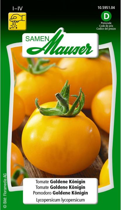 Samen Mauser Tomate Reine d'or (Graines de légumes)