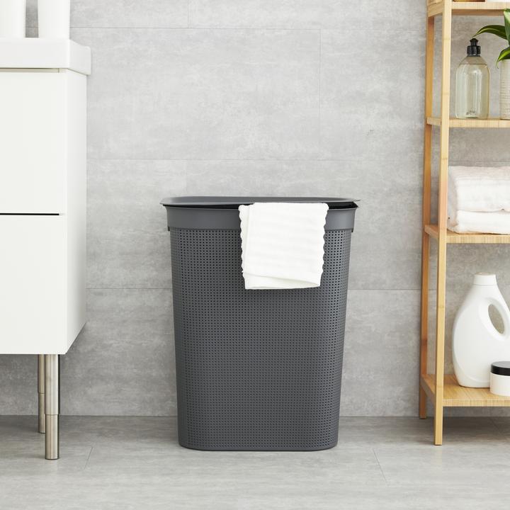 Actual product image Rotho Brisen (50 l)